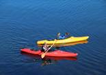 IMG_1614 (1280x853).jpg (64515 bytes)